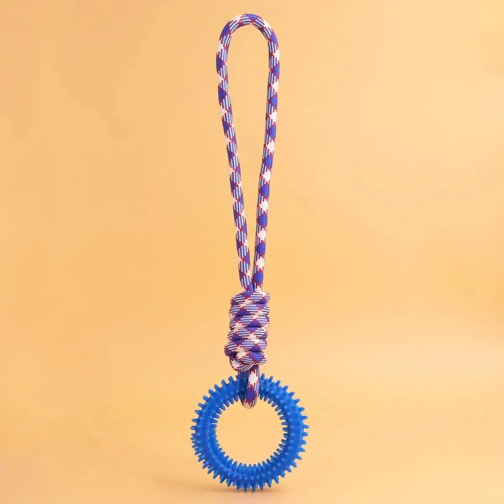 Colorful Woven Nylon Rope and Rubber Dog Toy | Chew Resistant Outdoor Play